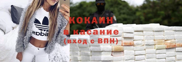 индика Алексин
