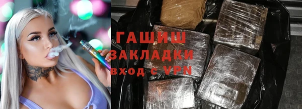 индика Алексин