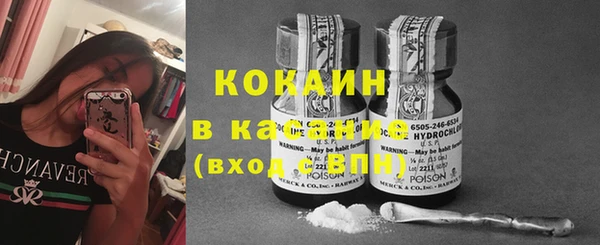 индика Алексин