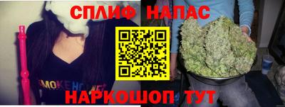шишки Нарткала