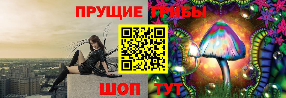 Псилоцибиновые грибы Psilocybine cubensis  Галлюциногенные грибы прущие грибы  Чайковский  продажа наркотиков  Вход с VPN 